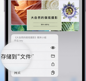 宜良apple维修中心分享iPhone文件应用中存储和找到下载文件