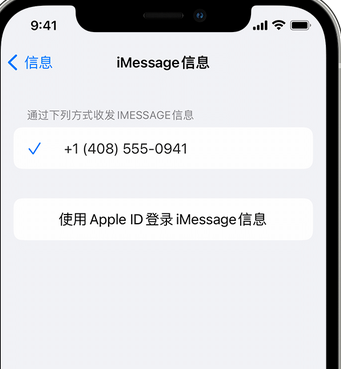 宜良apple维修iPhone上无法正常发送iMessage信息 