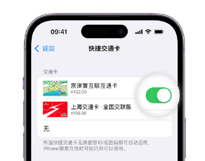 宜良apple维修点分享iPhone上更换Apple Pay快捷交通卡手绘卡面 