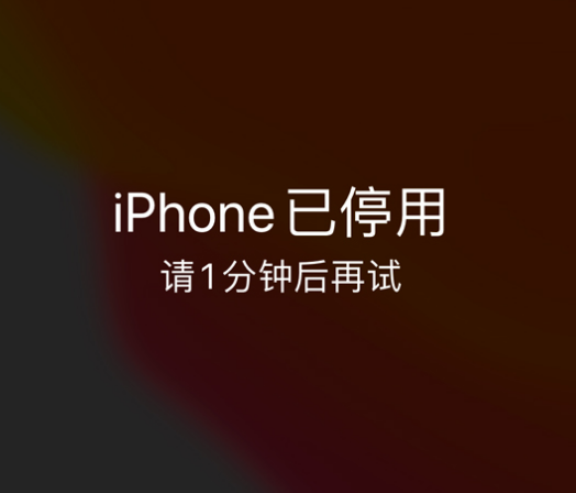 宜良苹果手机维修分享:iPhone 显示“不可用”或“已停用”怎么办？还能保留数据吗？ 