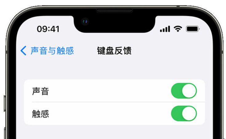 宜良苹果手机维修分享iPhone 14触感键盘使用方法 