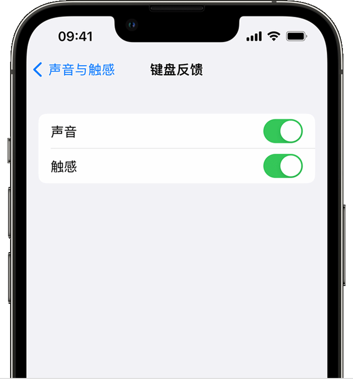 宜良苹果14维修店分享如何在 iPhone 14 机型中使用触感键盘 