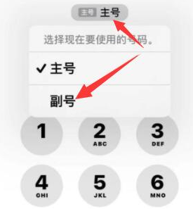 宜良苹果14维修店分享iPhone 14 Pro Max使用副卡打电话的方法 