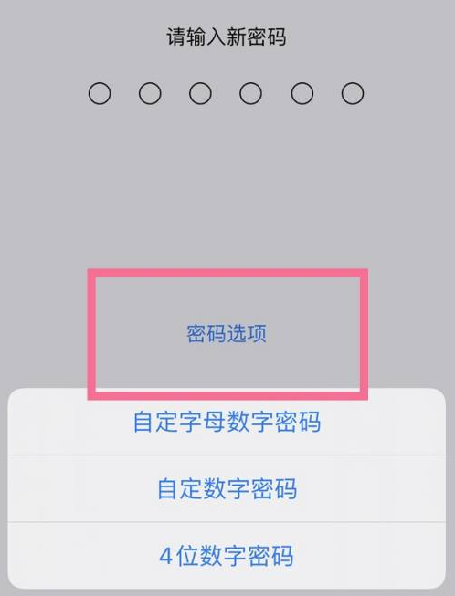 宜良苹果14维修分享iPhone 14plus设置密码的方法 