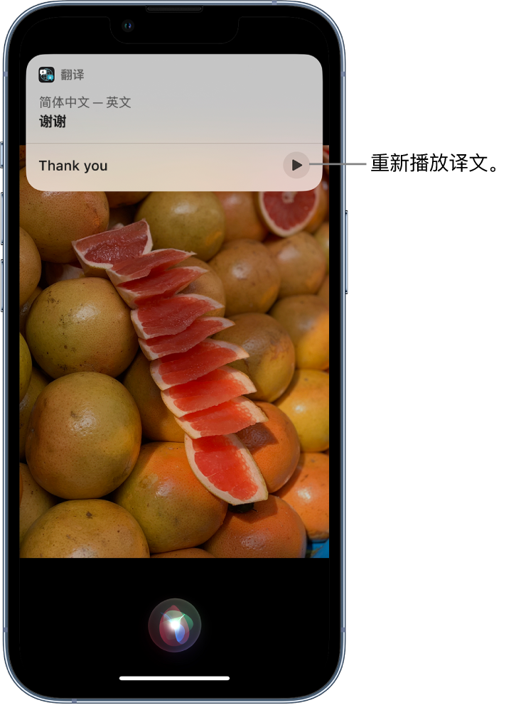 宜良苹果14维修分享 iPhone 14 机型中使用 Siri：了解 Siri 能帮你做什么 