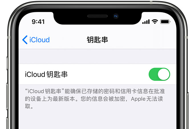 宜良苹果手机维修分享在 iPhone 上开启 iCloud 钥匙串之后会储存哪些信息 