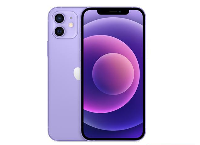 宜良苹果手机维修分享现阶段要不要入手紫色版iPhone12 