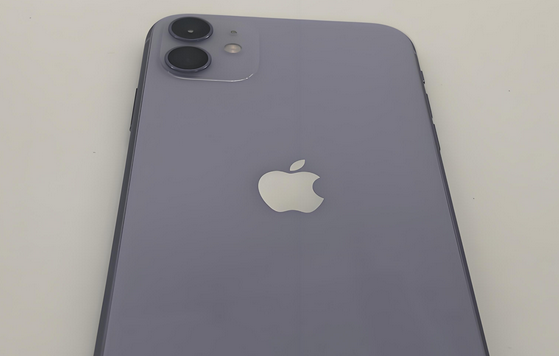 宜良苹果11系统维修分享iPhone11手机系统崩溃无法开机如何解决 